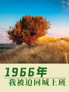 1966年：我被迫回城上班