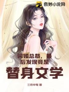 闪婚总裁，最后发现竟是替身文学