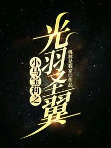 小马宝莉之光羽圣翼